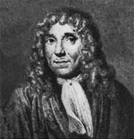 anton van leeuwenhoek