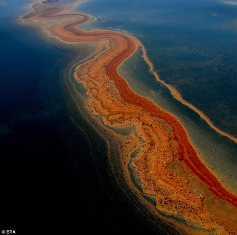 BP Oil Spill in the Gulf
