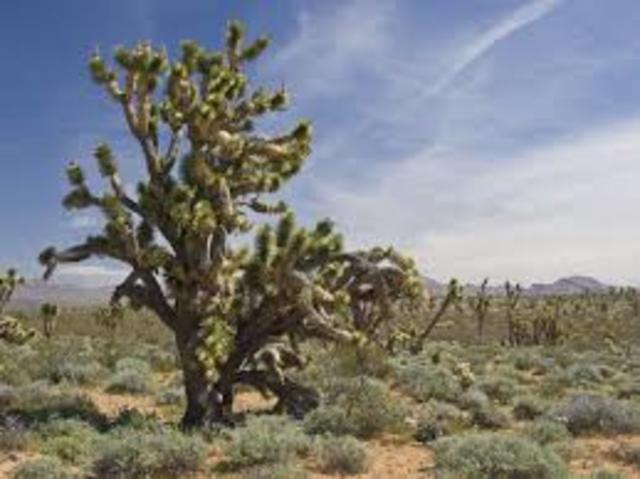 Desert Protection Act