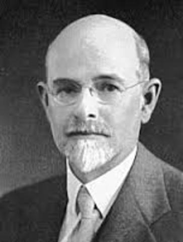 Desarrollo  el concepto nicho y pirámides ecologicas.