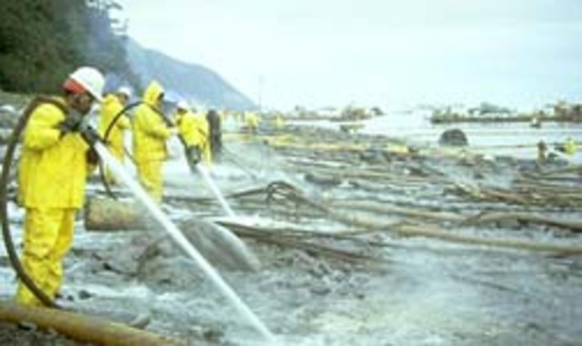 Exxon Valdez Disaster