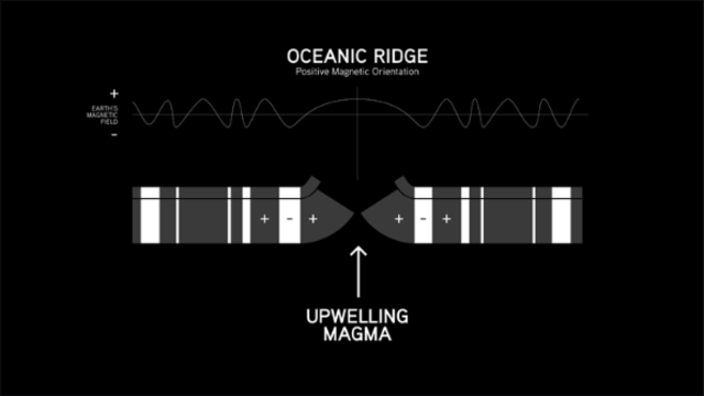 The Vine-Matthews-Morely hypothesis was released