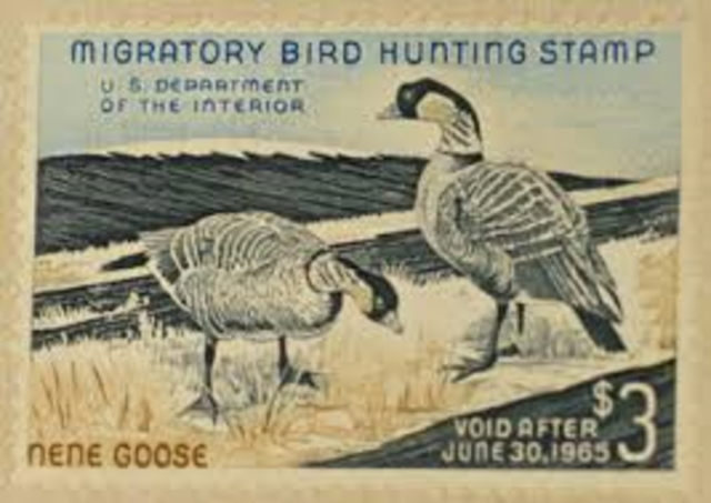 Migratory Bird Hunting Stamp Act