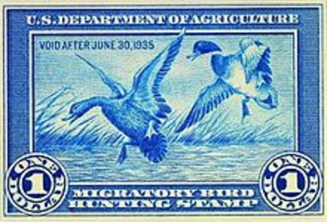 Migratory Bird Hunting Stamp Act