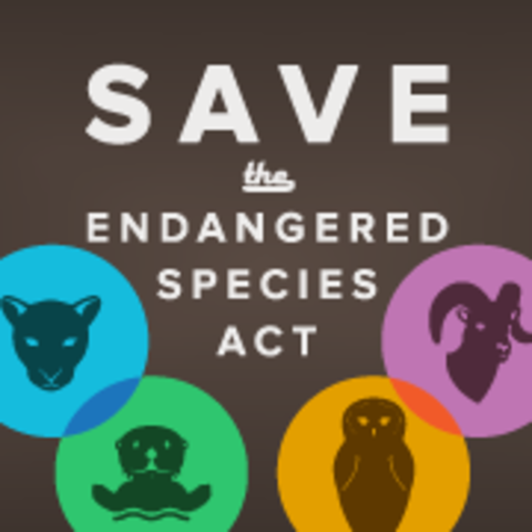 Endangered Species Act