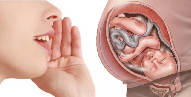 28 Semanas (Inicio tercer trimestre)