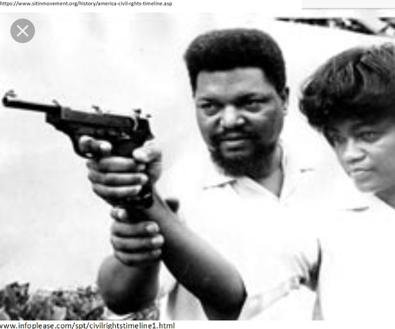 Robert F. Williams, Armed Resistance to Racial Oppression