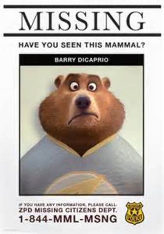 Judy Solves 14 Missing Mammal Cases