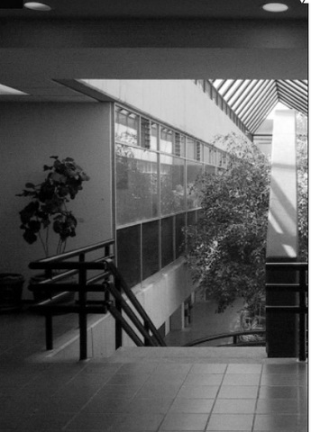 Se crea el Centro de Investigación de la FCA