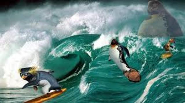 Big Z Watches Cody Surf