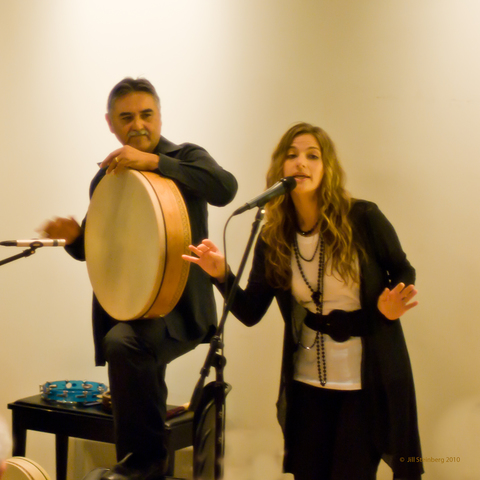 Analytic-Linguistic Approaches