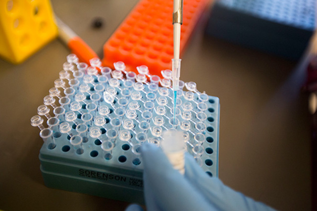 Normal to Stem Cells