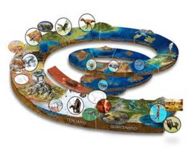 EVOLUCIÓN DE LOS MAMÍFEROS