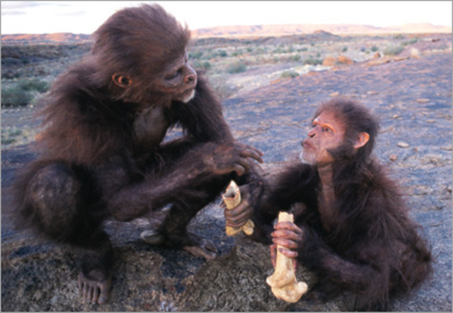 PRIMEROS HUMANOS PREHISTÓRICOS (homo habilis)