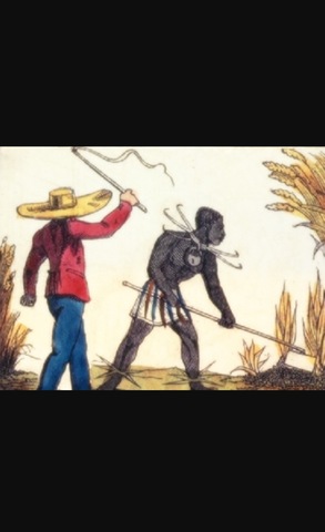 Adoption of the Barbados slave code