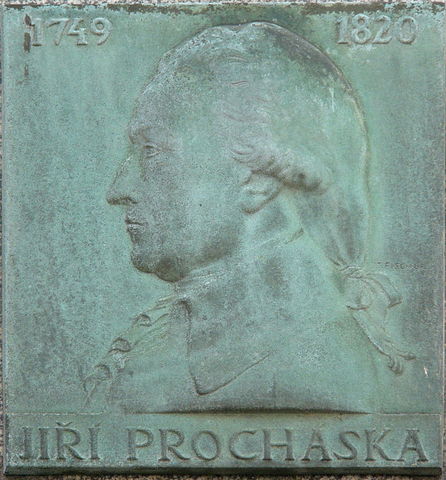 Georg Prochaska