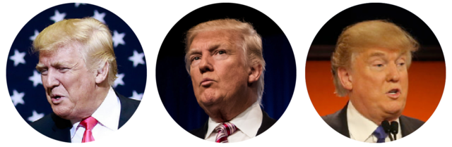 Trump Presidential Election 2016: Path to Legal Status