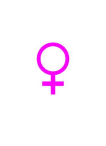 The Violence Against Women Act