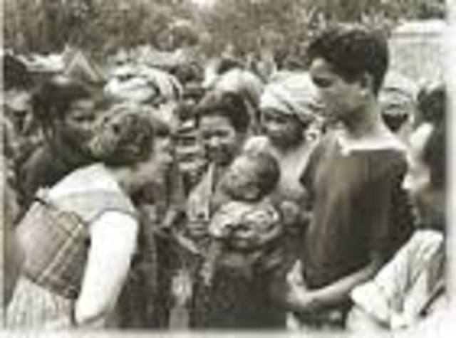 Periodo Tradicional (1900 - 1950)