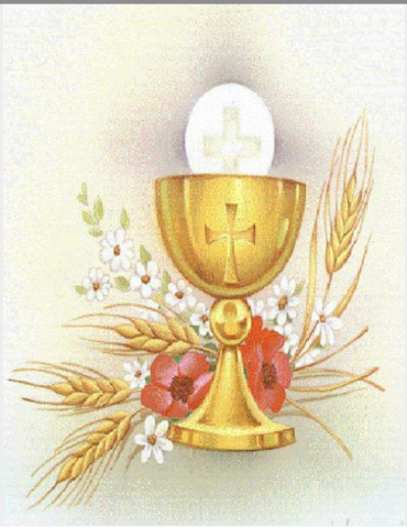 comunione di mio cugino