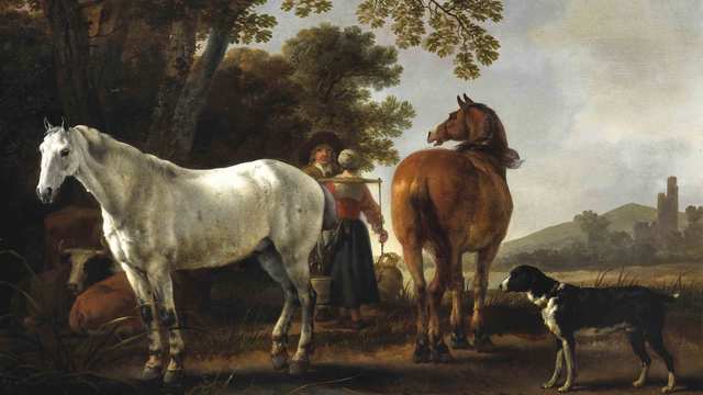 Domestication of Horses