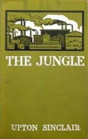 The Jungle was written