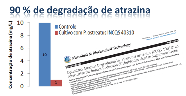 Otimização do meio de cultivo para degradação de atrazina