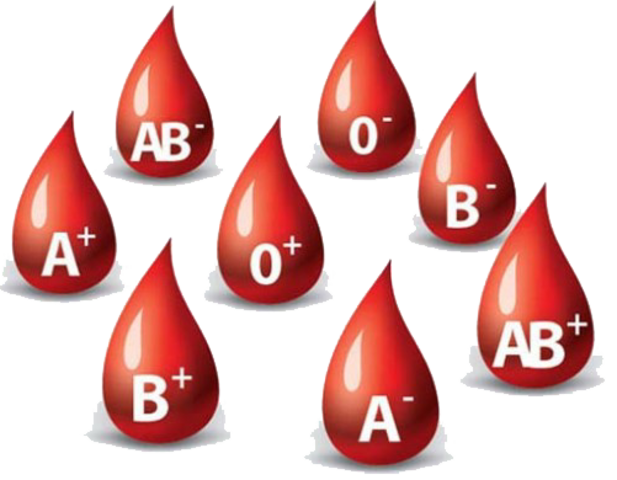 Discovery of human blood groups