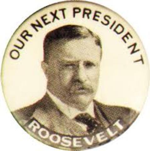 Election Theodore Roosevelt