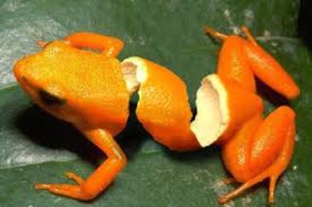 the invention of phototshop