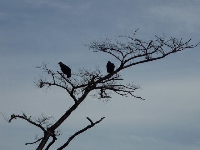 Victima preparatoria Morelos