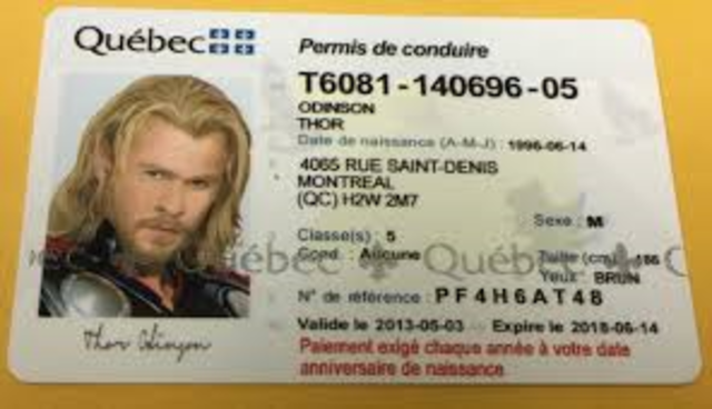 get a drivers lisens