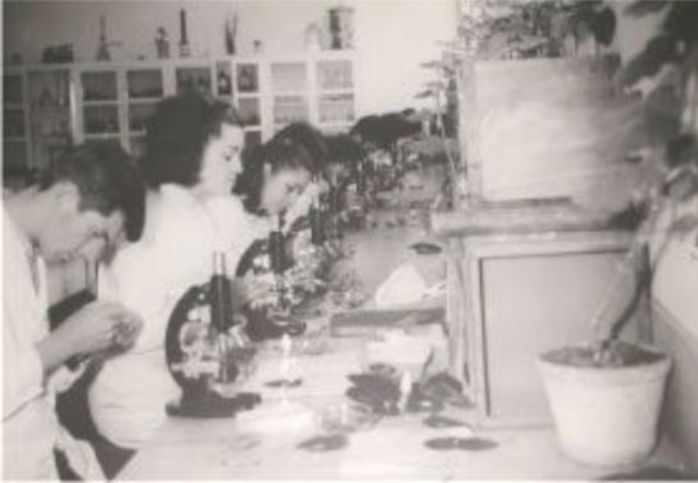 Creación Facultad de Ingenieria