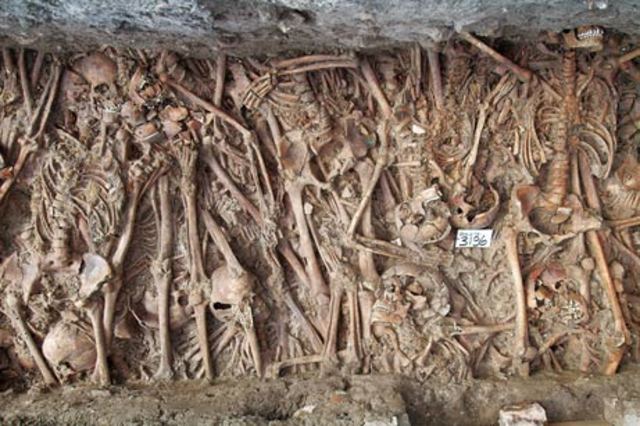 The Black Plague Sweeps Europe for the First Time