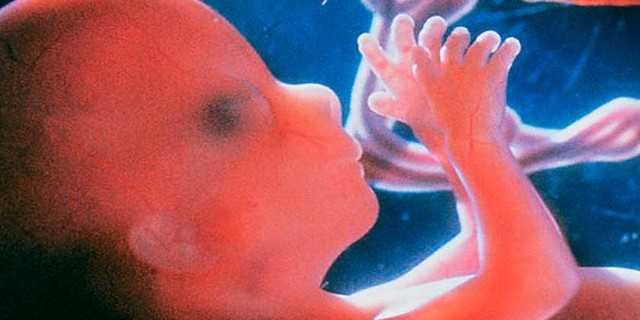 Semana 11 de embarazo