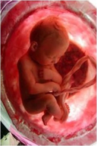 Semana 18 de embarazo