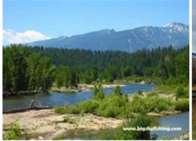 Gold Discovered in my Mine