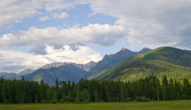 Gold Discovered in my Mine