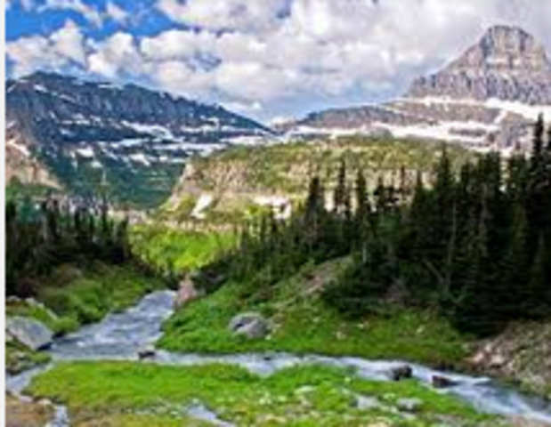 Gold discovered in mine