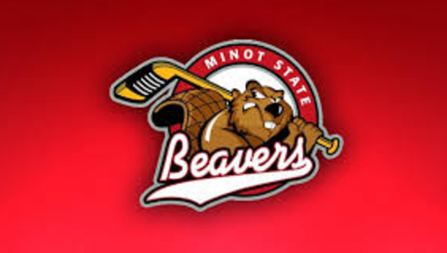 Joined the Women's Hockey Team