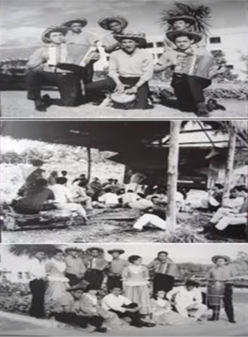 Creación Centro de Investigación