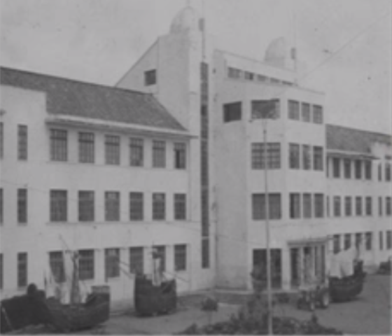 Creación de Programas de Pregrado