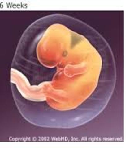 First Month For Baby