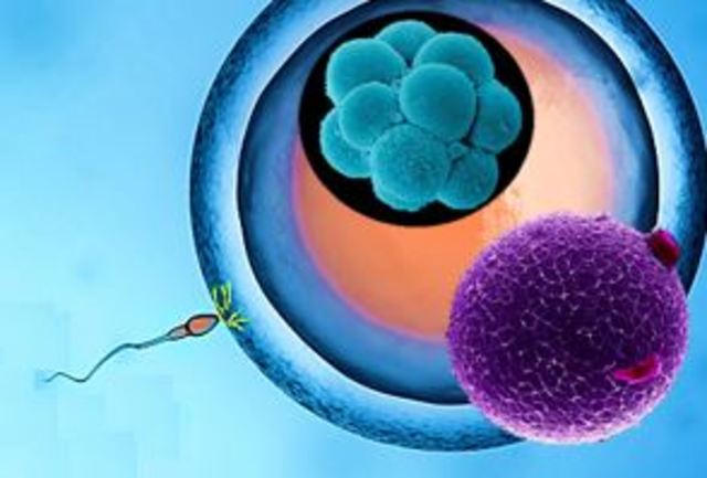 Primer mes (4 semanas)