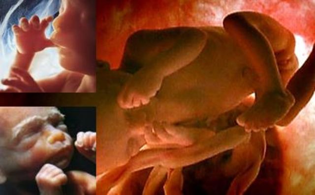 Quinto mes (15 a 18 semanas)