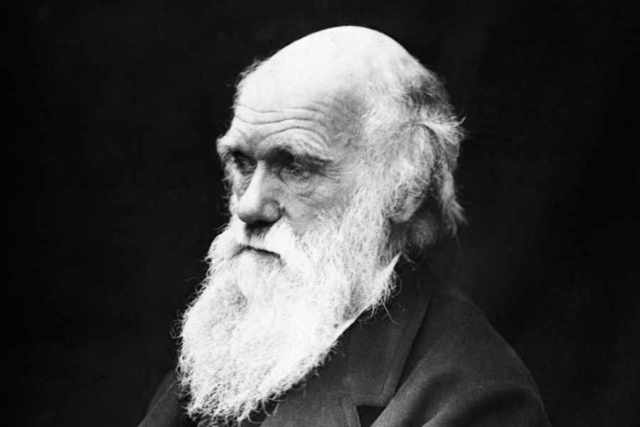 Darwin ( teoría de la evolución )