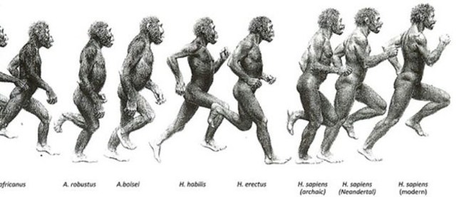 Evolution of Homo Sapiens