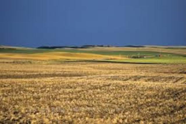 Colonization of New Regions