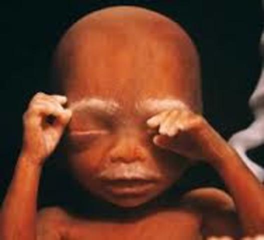 Fourth Month For Baby