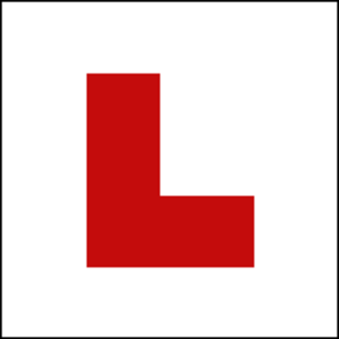 Started Driving Lessons.